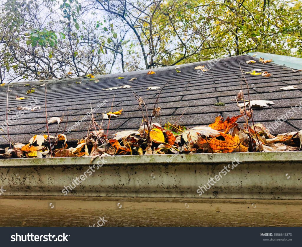 Window Clogging AutoSchedule Maintenance | Auto Care Solutions by The Window Man Inc.